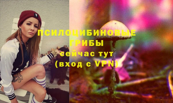 стафф Абинск