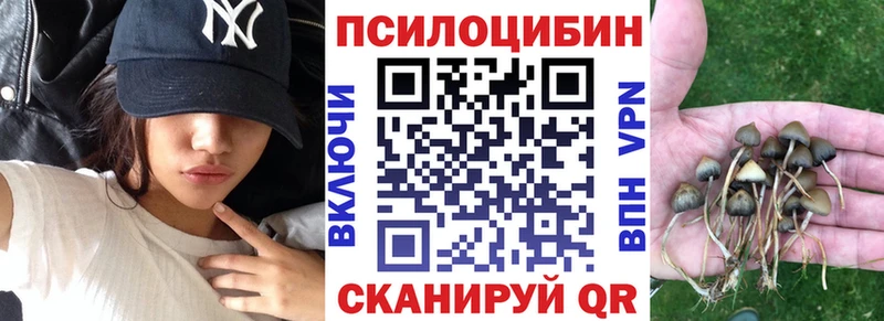 blacksprut ТОР  Тихорецк  Галлюциногенные грибы MAGIC MUSHROOMS 
