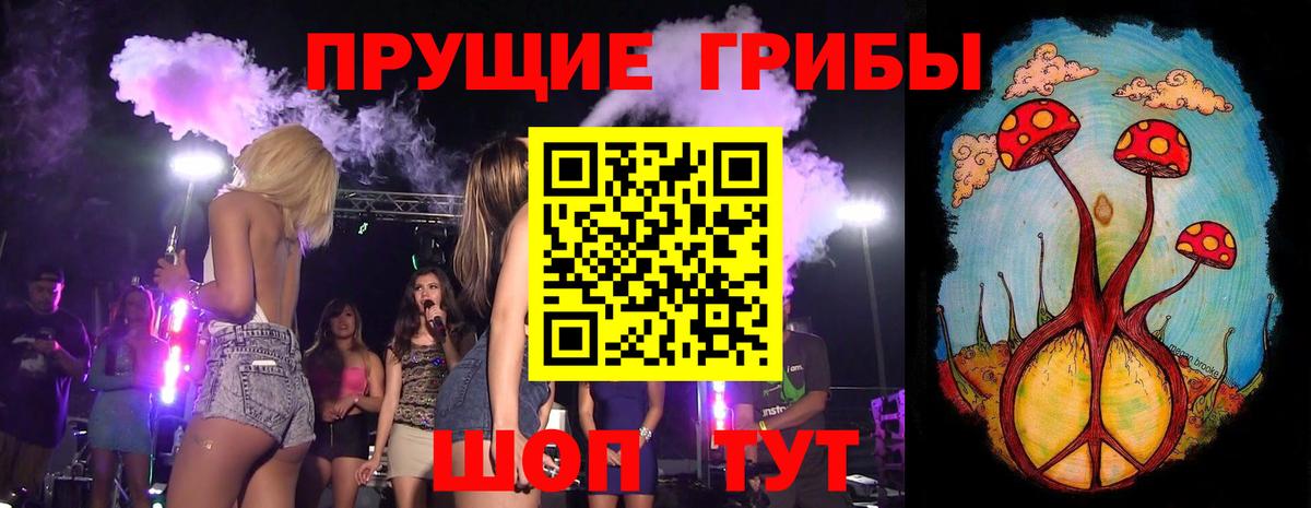 купить   Вход с VPN  Тихорецк  Псилоцибиновые грибы GOLDEN TEACHER 